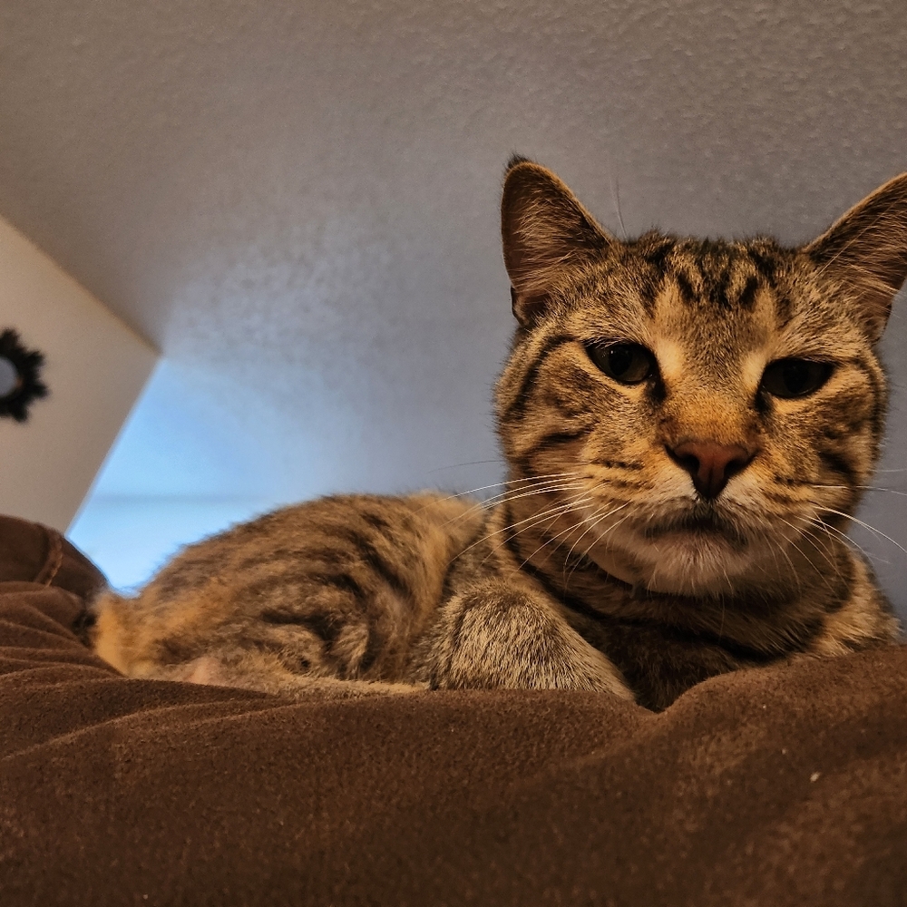 Meet your Posher, Noemi